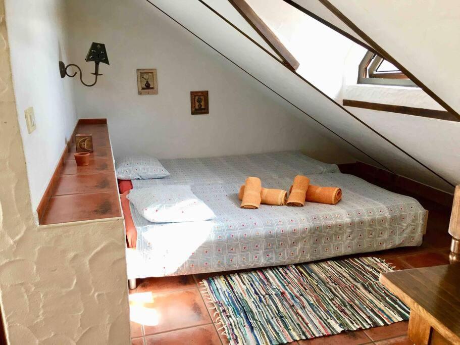 Casa La Florida Daire Calera Dış mekan fotoğraf